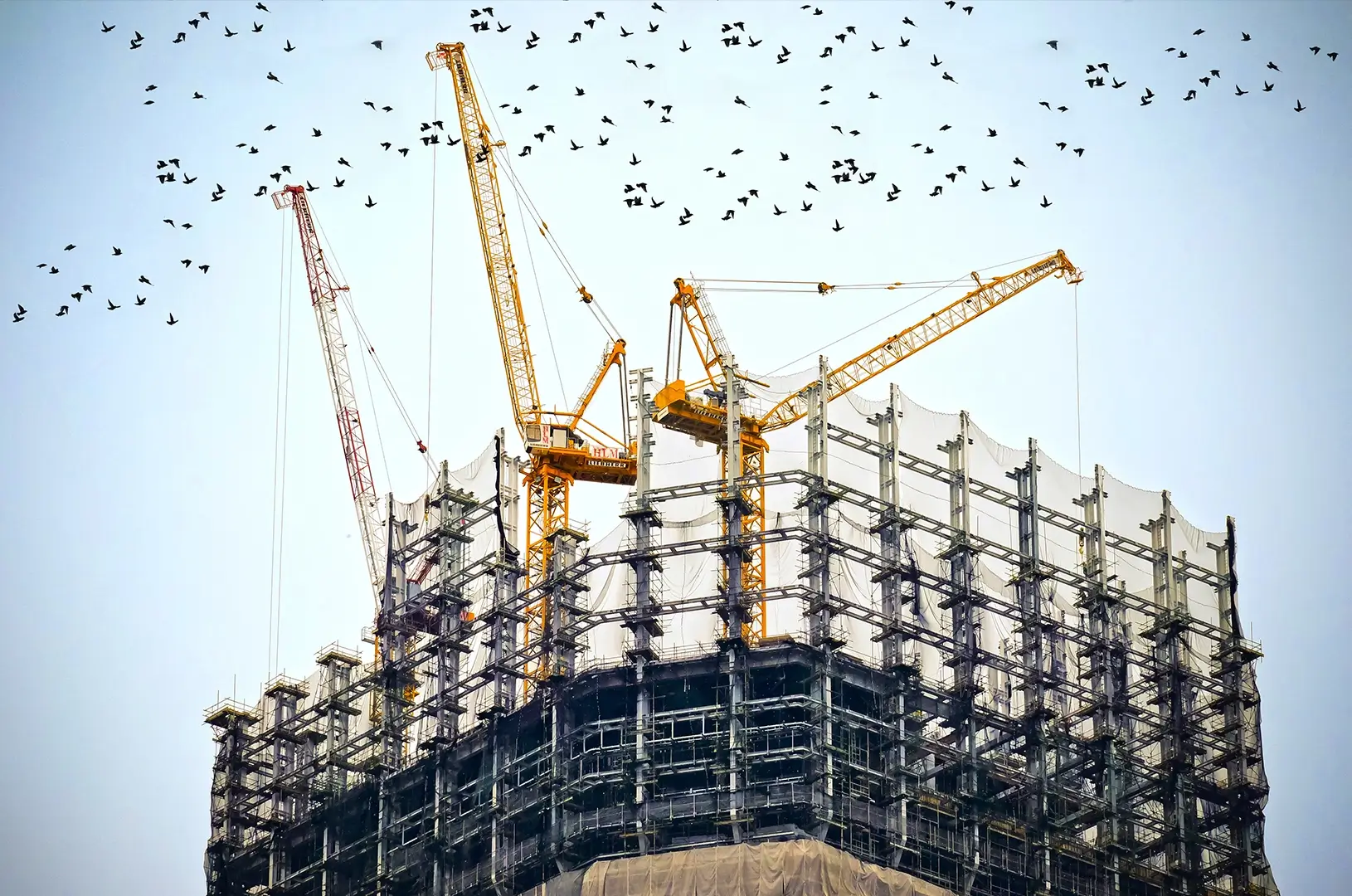  Builders Concrete Egypt
